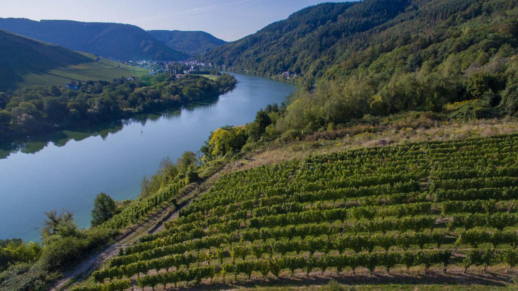 Ferienhaus Moselhoehe -Neu- Traben-Trarbach Esterno foto