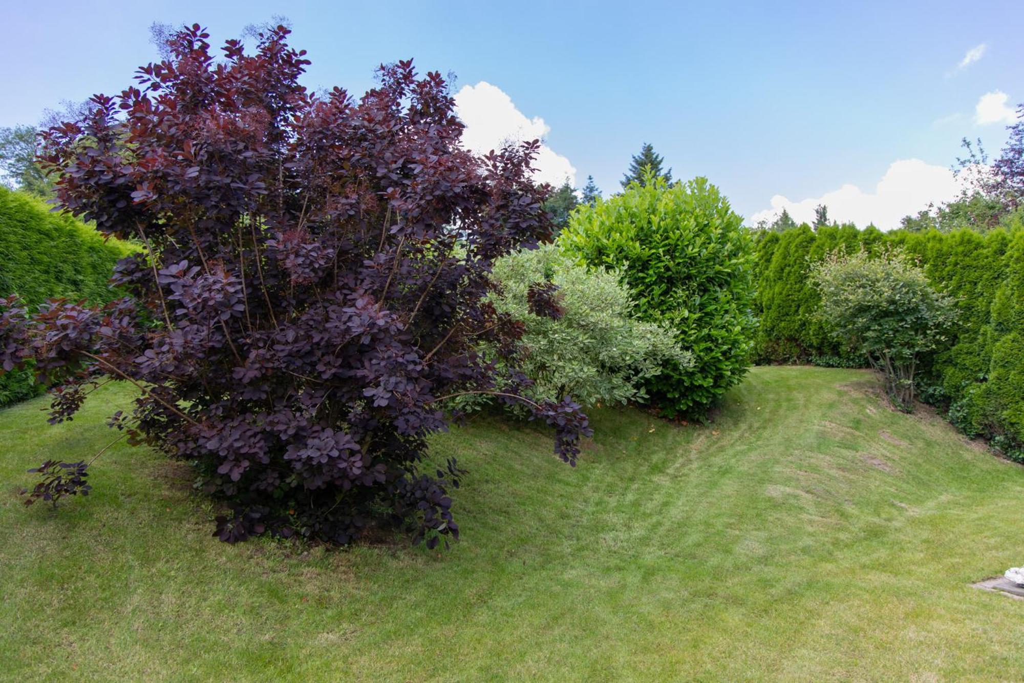 Ferienhaus Moselhoehe -Neu- Traben-Trarbach Esterno foto