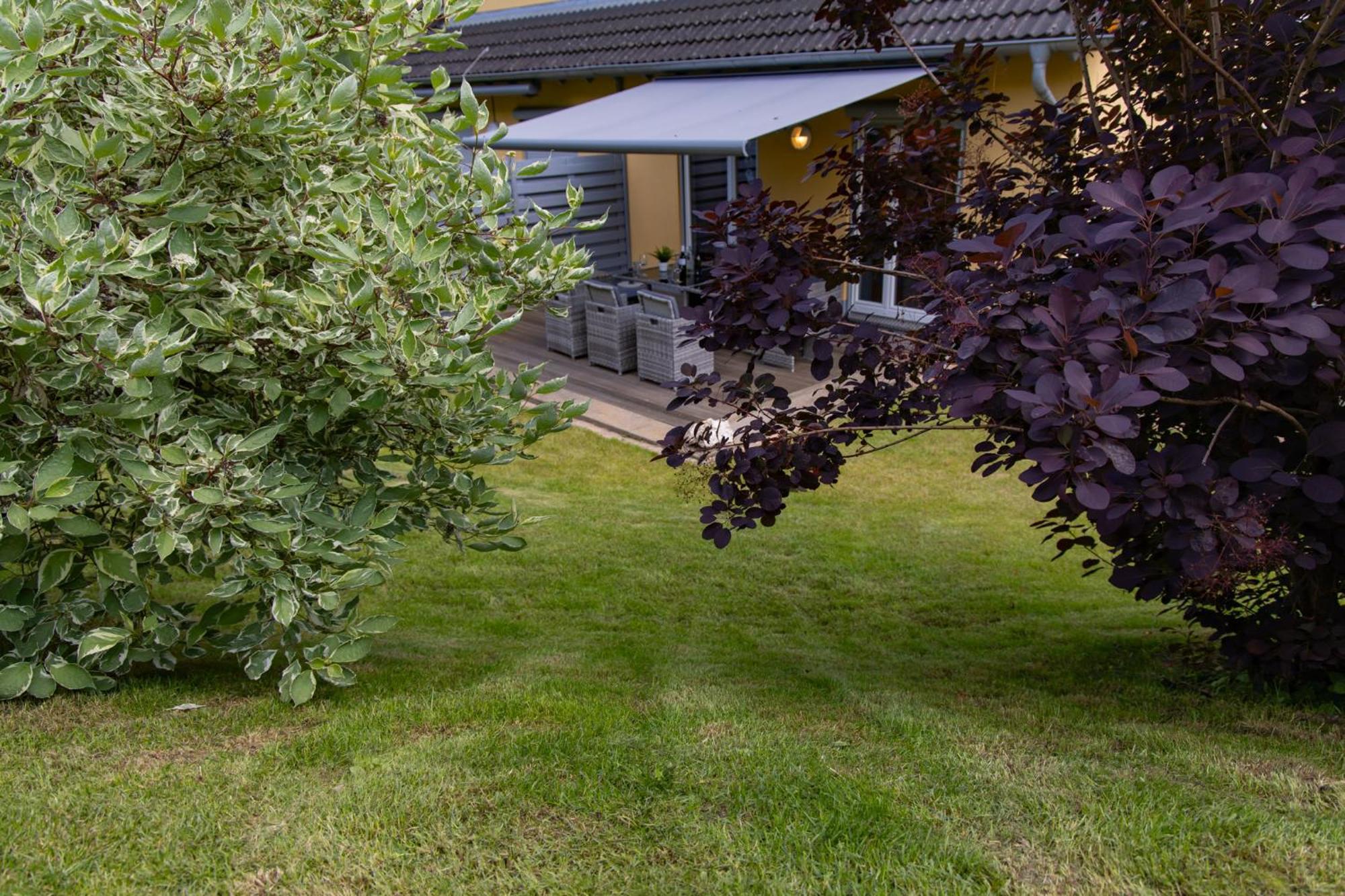 Ferienhaus Moselhoehe -Neu- Traben-Trarbach Esterno foto
